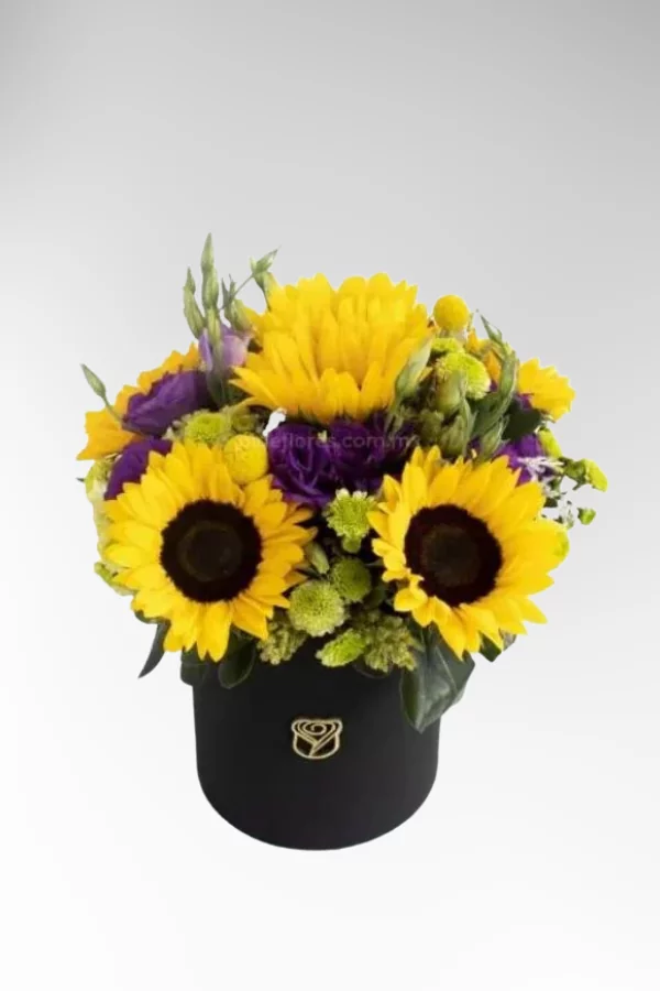 Categories_images_sunflowers1