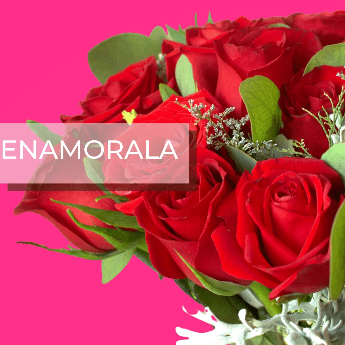 Main_page_Banner-Arreglos