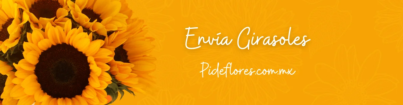 slide_girasoles_12