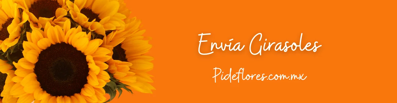 slide_girasoles_2
