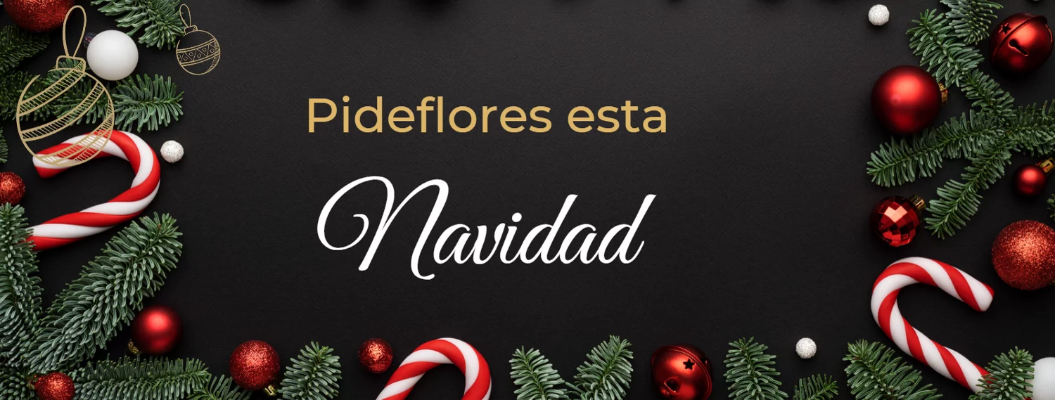 Banners-Navidad -2022- 2 – Desktop