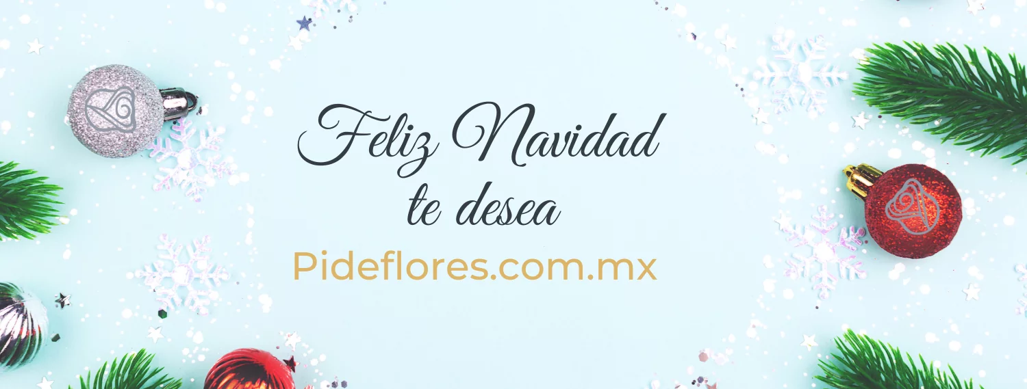 Banners-Navidad -2022- Desktop