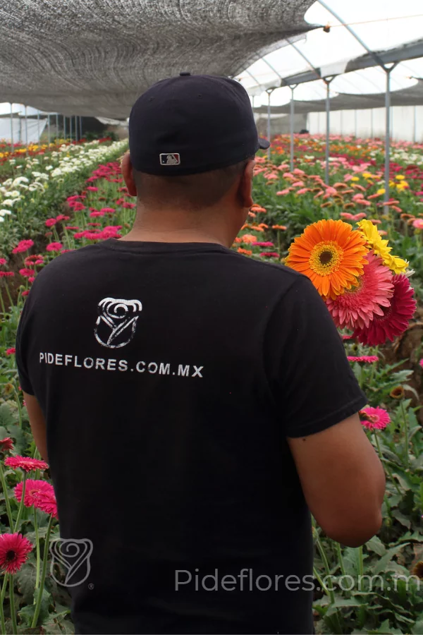 nuestraflores(16)