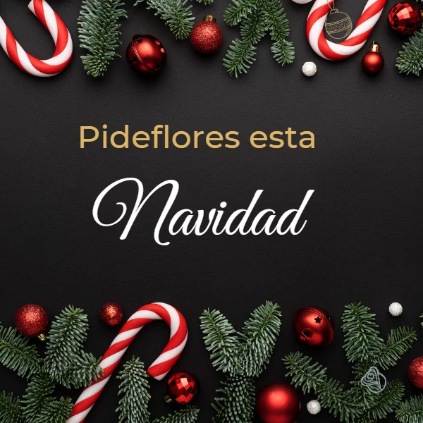 Movil-NavidadPideFlores2022-2
