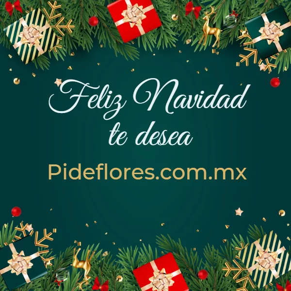 Movil-NavidadPideFlores2022
