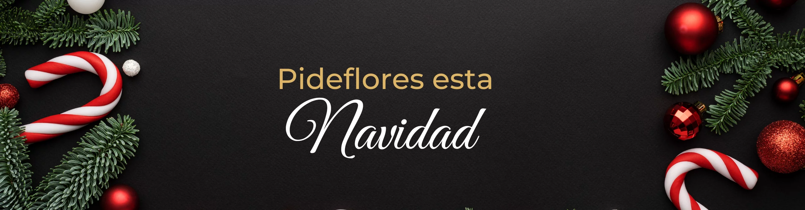 feliz_navidad_1 (2)