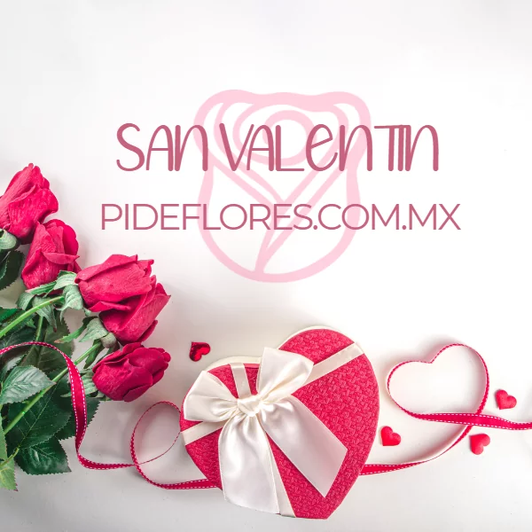 2023 – San Valentin-Movil