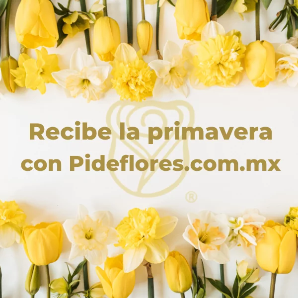 Recibe la primevera_con_Pideflores