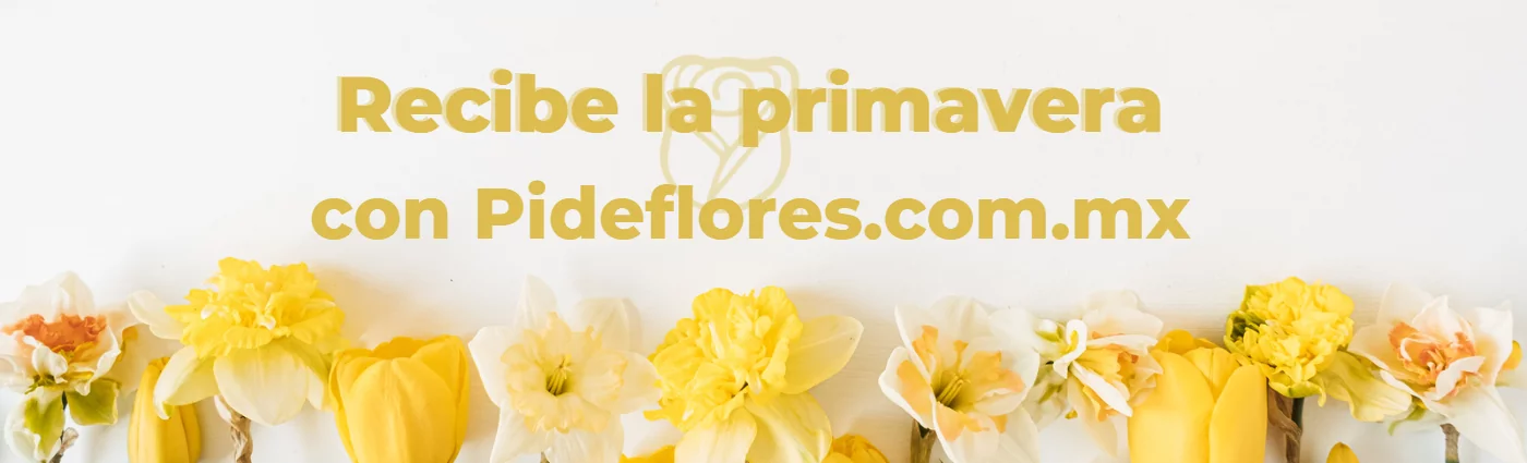 Single – Image- Pideflores-2023