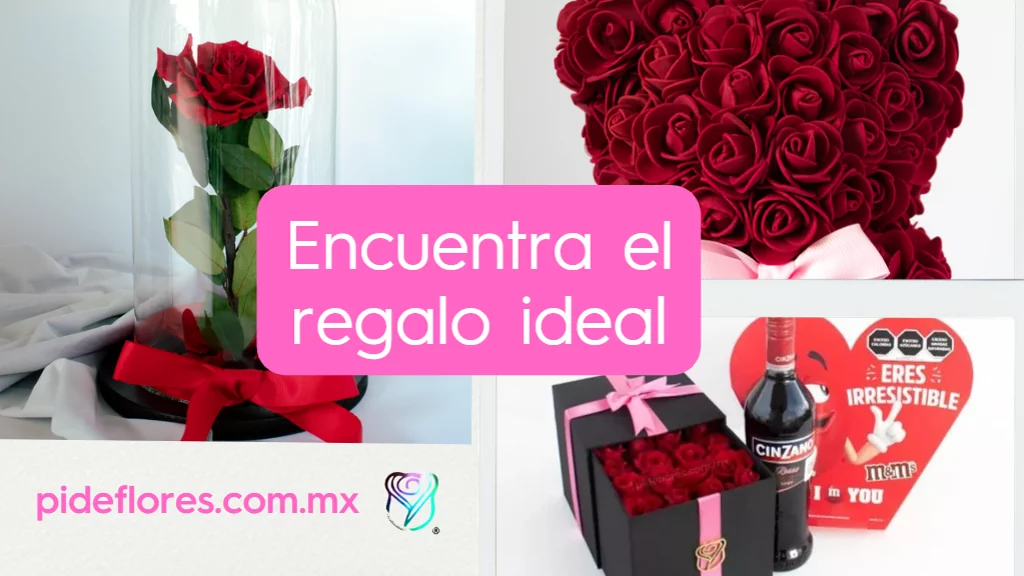 Encuentra el regalo ideal