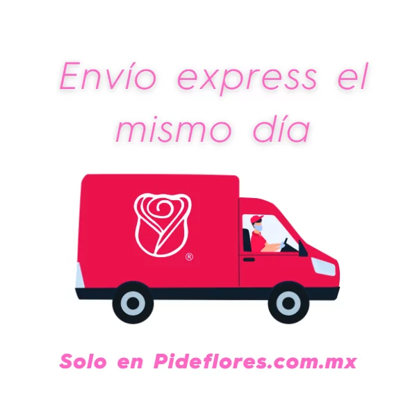 Envío Express (600 × 600 px)