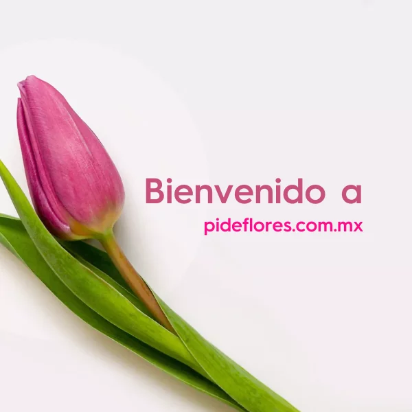 banner_inicio_pide_flores