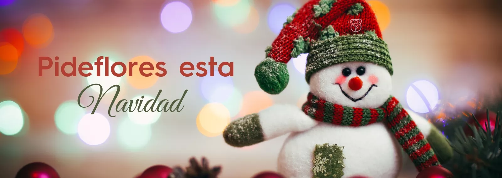 Banners-Navidad -2023- Desktop-2