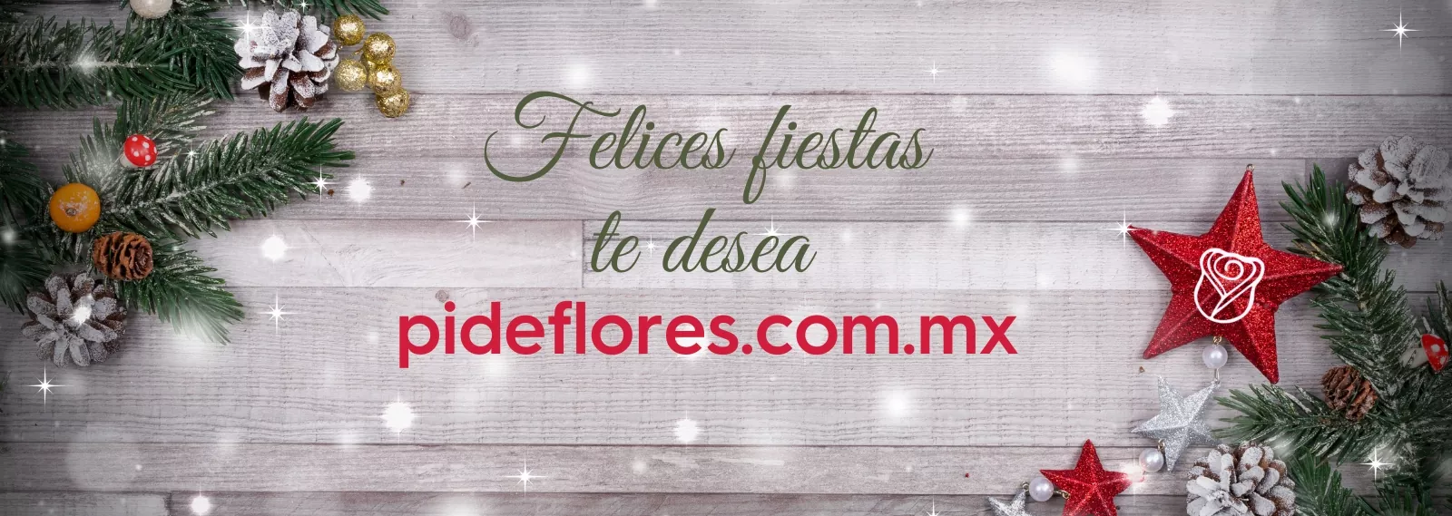 Banners-Navidad -2023- Desktop_1