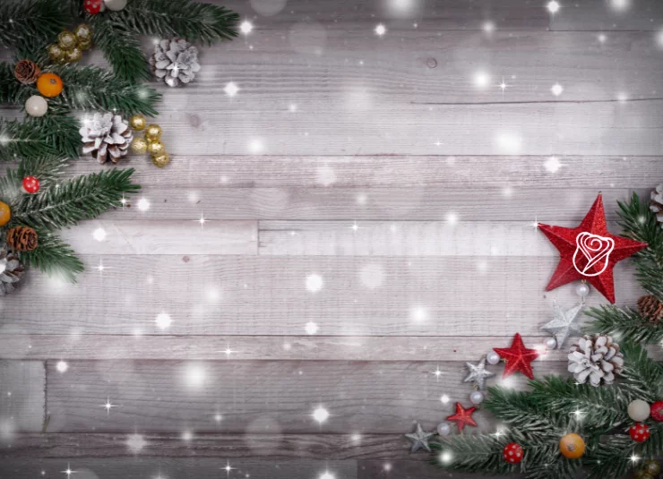 navidad_sliders_2 (1)