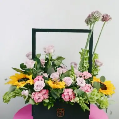 Modelo canasta  love