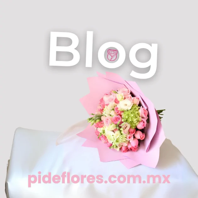Movil_blog_slider