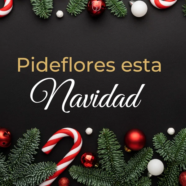 movil_wallpaper_navidad_2024(2)