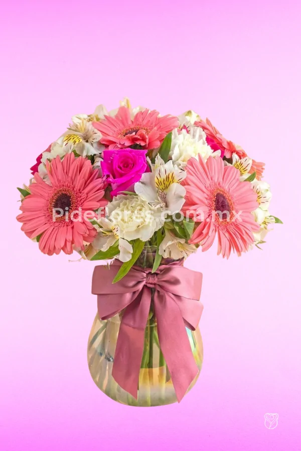 Gerbera(5)