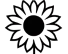 Girasol