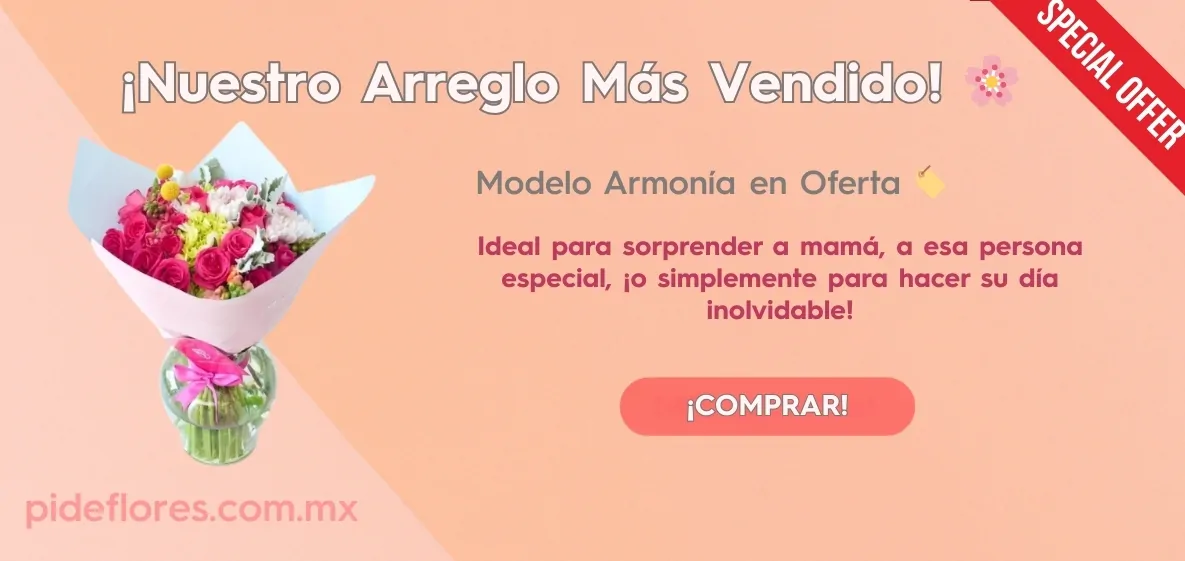 Modelo Armonia-APP