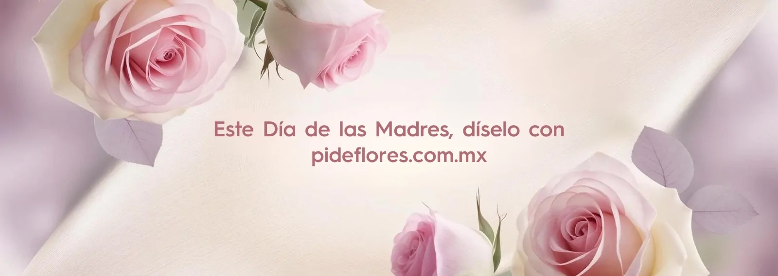 Slider -Desktop -Full- 2025-Mayo