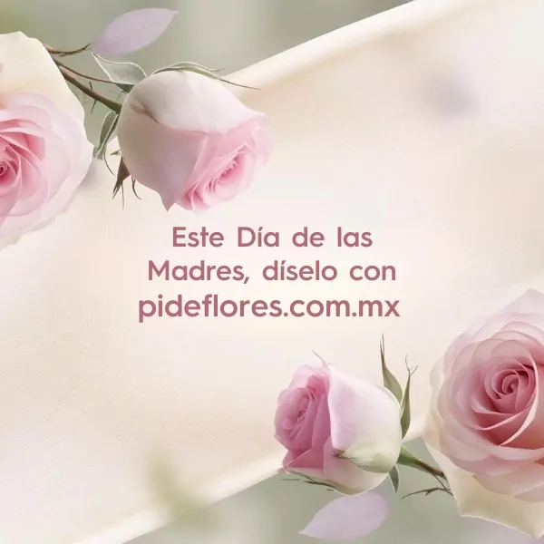 Slider -Mobile -Full- 2025-Mayo