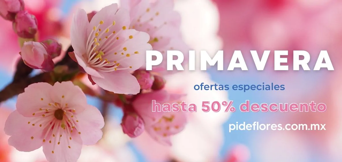 primavera