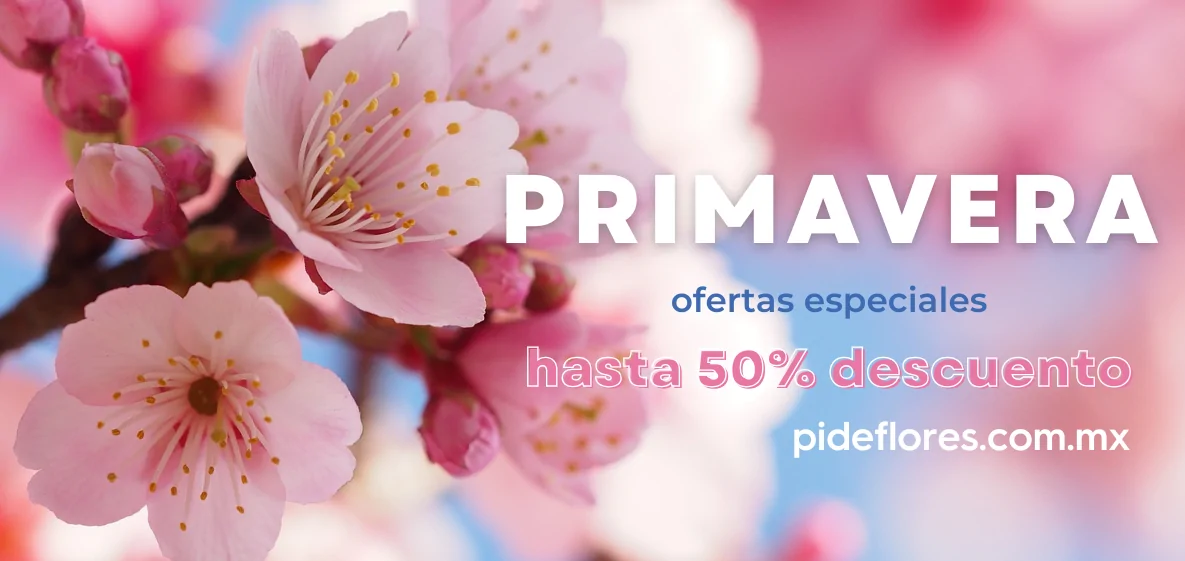primavera